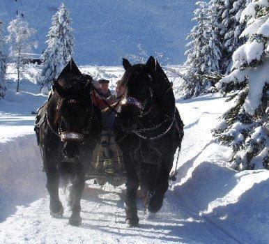 Hotel Oxa Hittisau Exteriér fotografie
