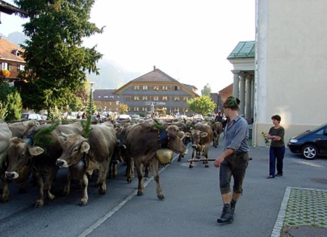 Hotel Oxa Hittisau Exteriér fotografie